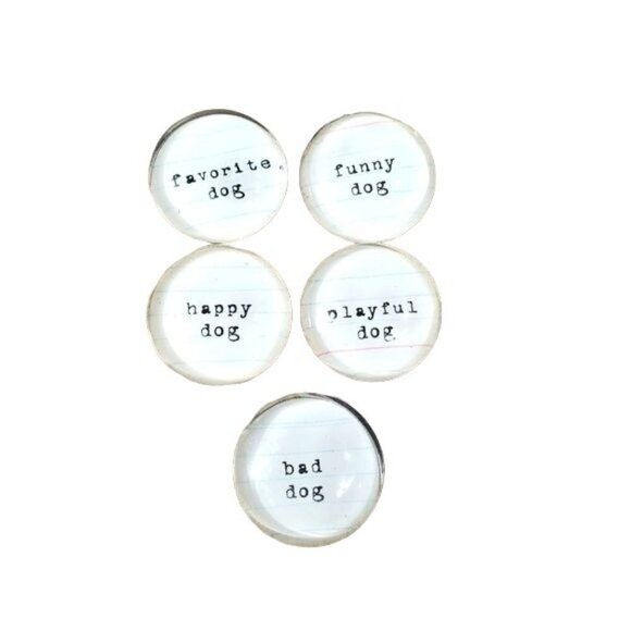 Dog rain snow slicker tracksuit magnet bundle - Picture 8 of 9